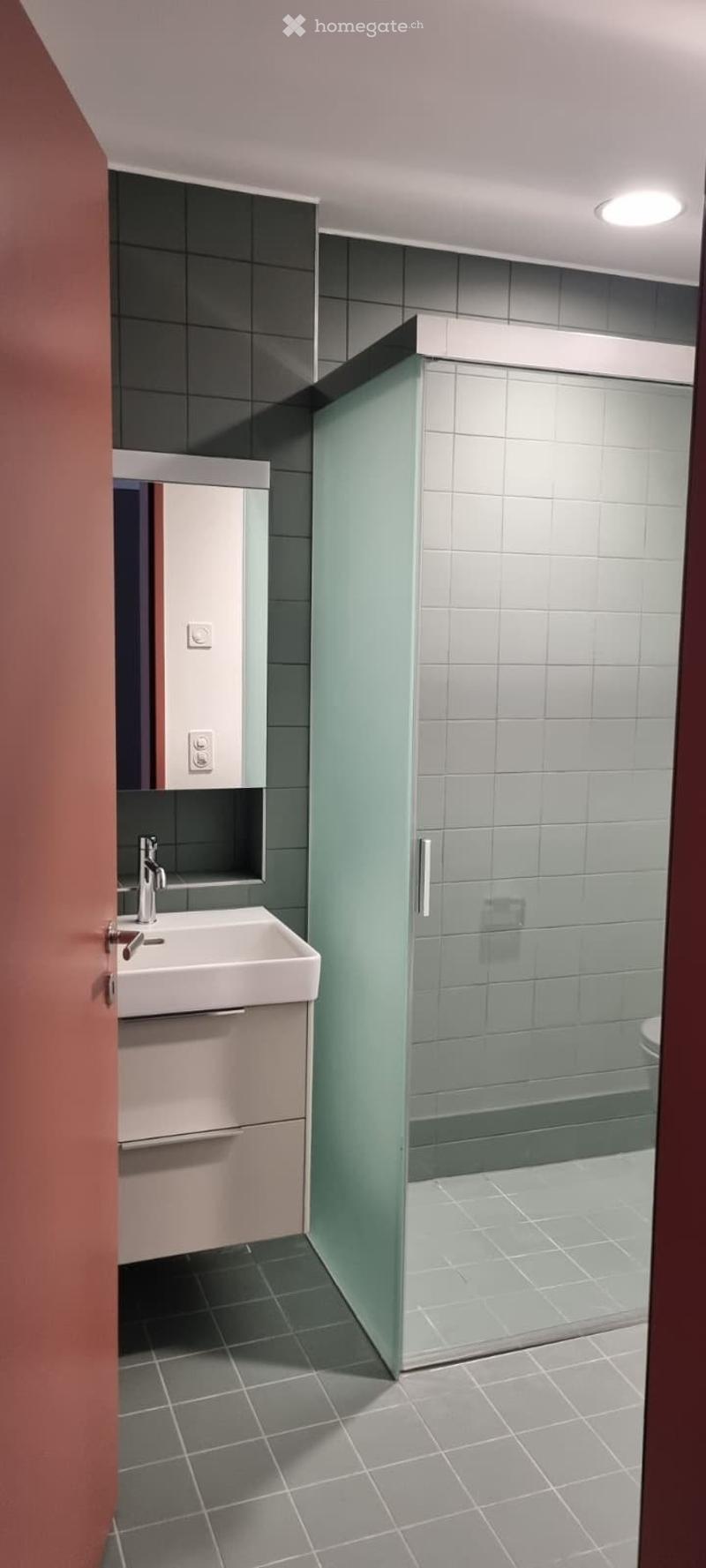Tolle Neubauwohnung (3.5-Zi) in Altstadt SH sucht Nachmieter (3)