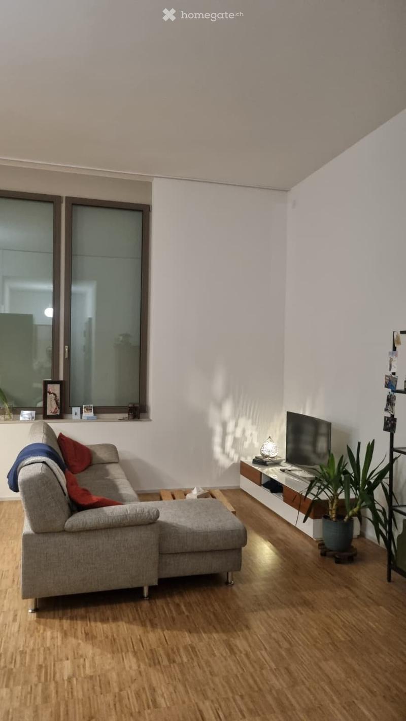 Tolle Neubauwohnung (3.5-Zi) in Altstadt SH sucht Nachmieter (1)