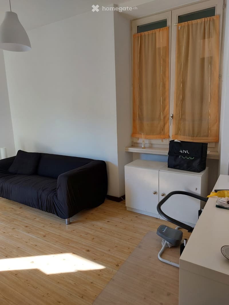 Locazione appartamento 3.5 (5)