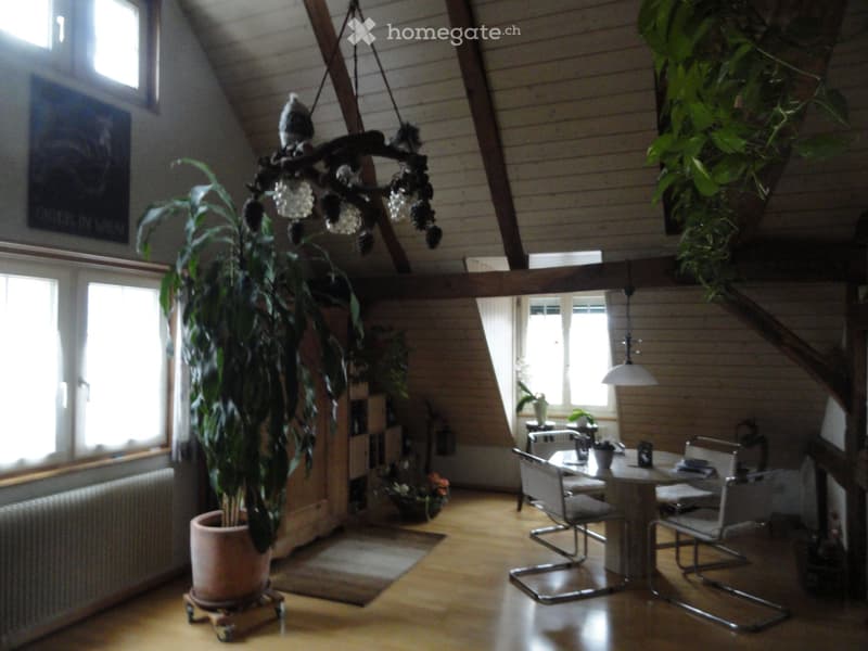 4 Bedroom Attic Apartment (5)