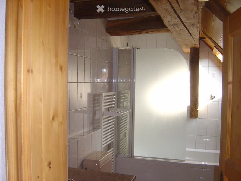 4 Bedroom Attic Apartment (3)
