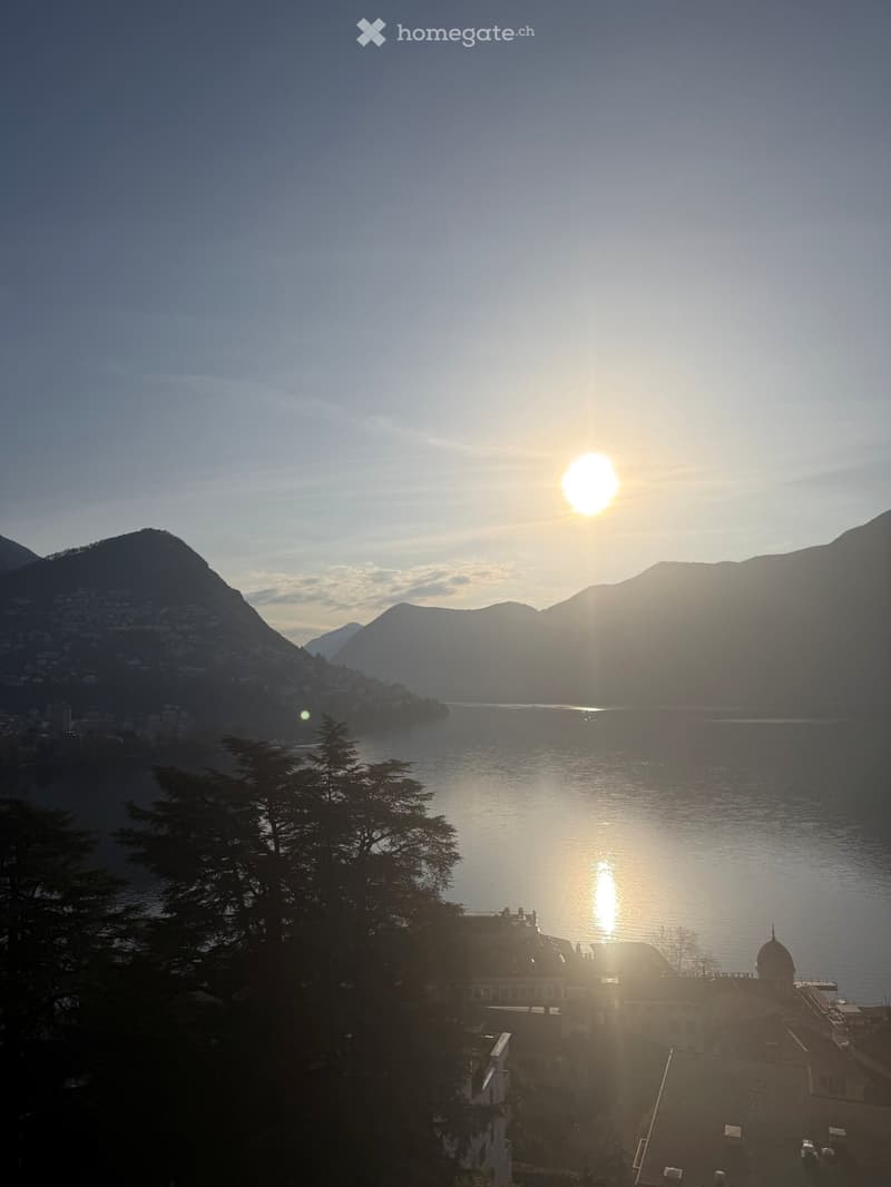 Attico 3.5 locali con vista lago, Lugano-Subentro contratto (4)