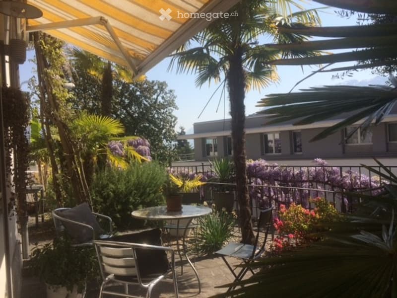 Herziges Studio Yucca in Ascona (1)