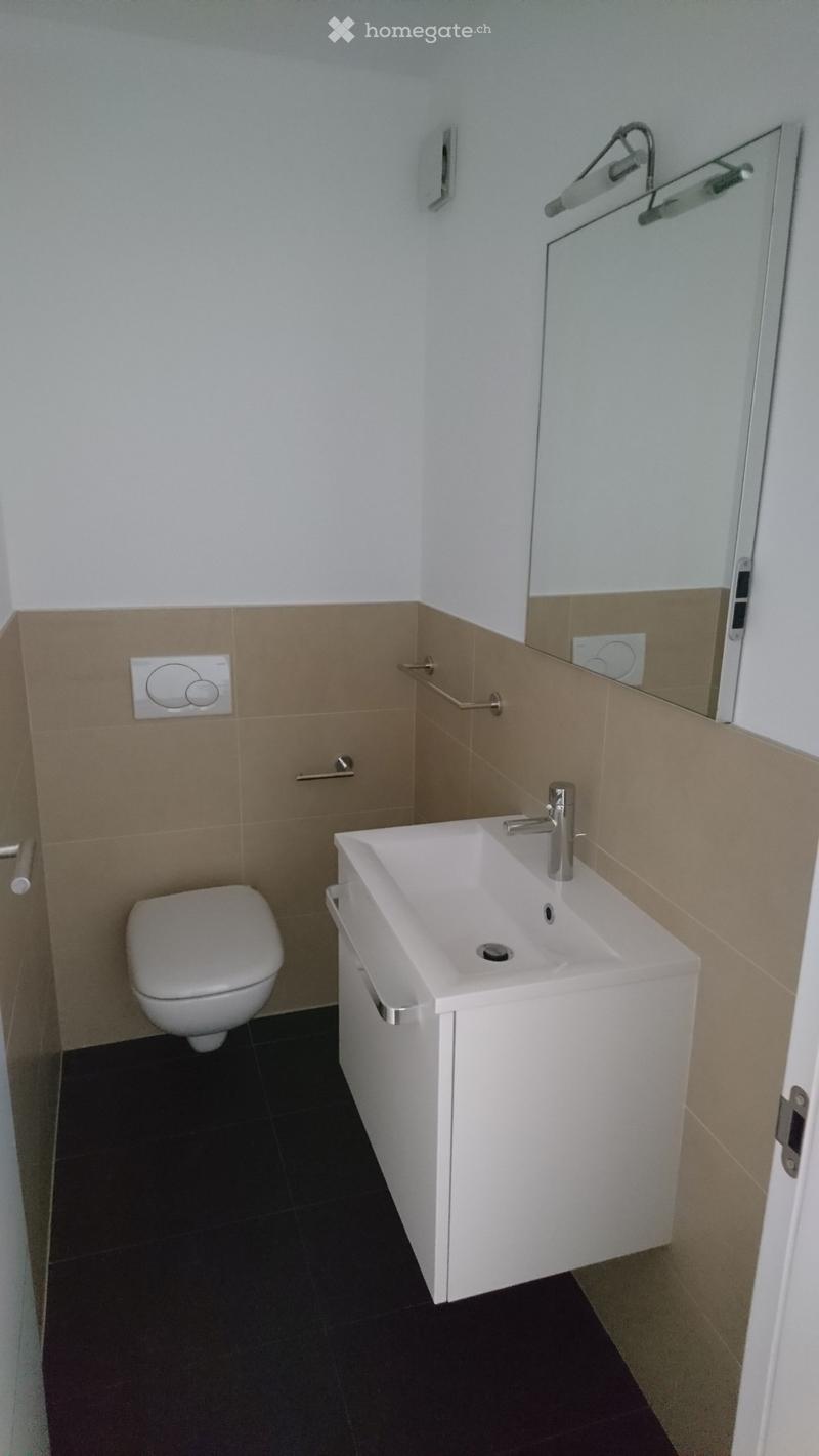 Claro - in locazione 3.5 locali (4)