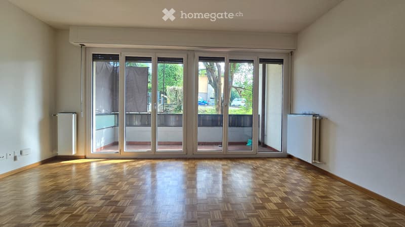 Affitto Trilocale Vacallo con Terrazzo (1)