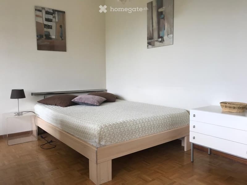 Profitez de votre séjour à Genève *** (281) (4)
