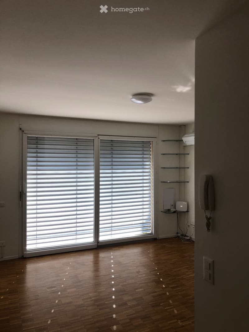 Appartamento moderno con vista panoramica a Chiasso (2)