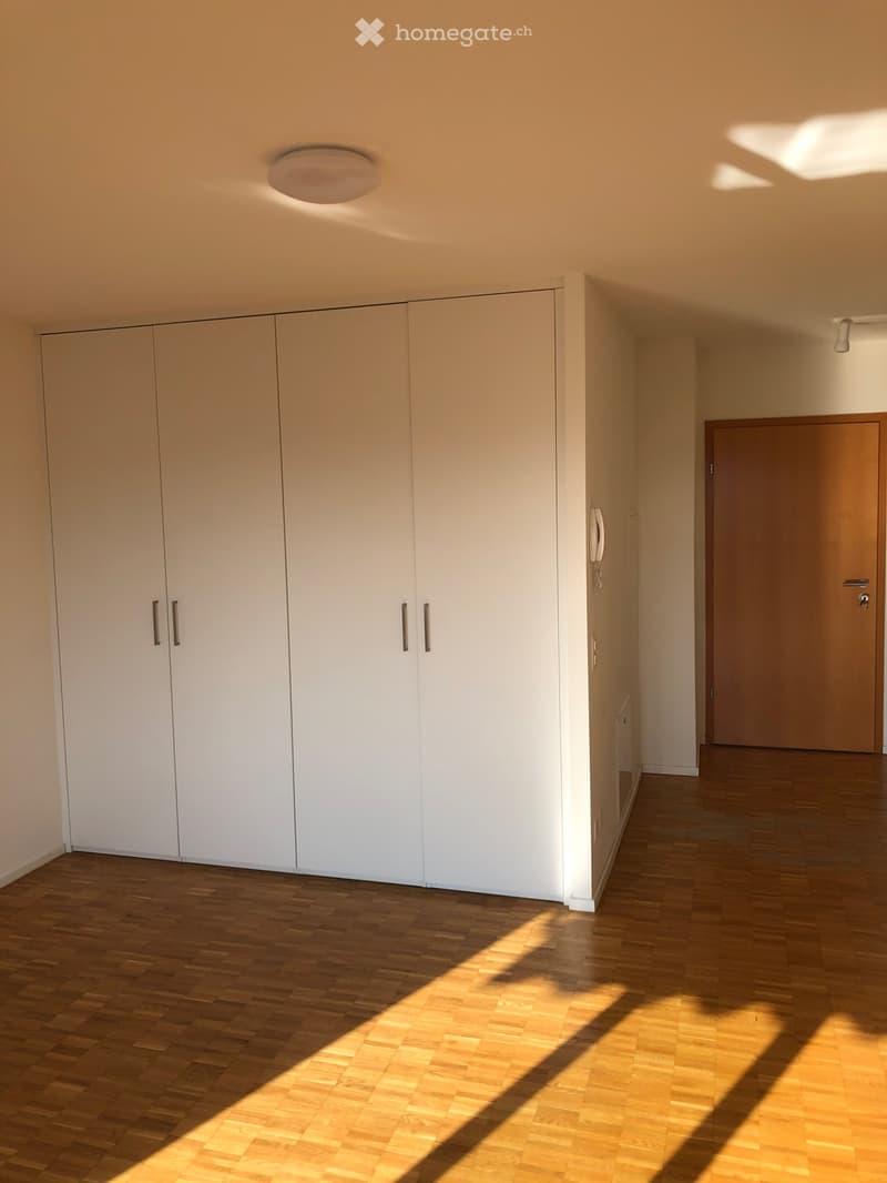 Appartamento moderno con vista panoramica a Chiasso (3)