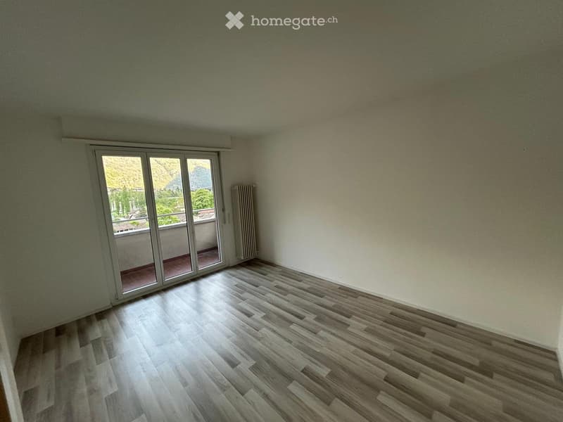 Affittasi appartamento con bella vista a Faido (3)