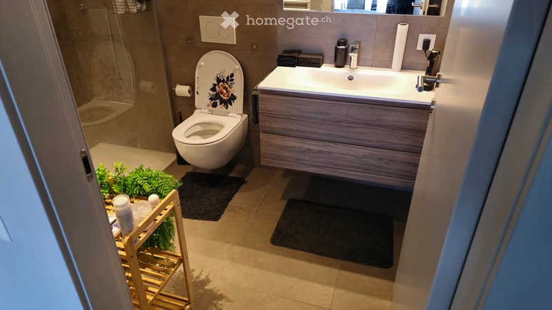 Subentrante - 2,5 Locali (Ascona) (9)