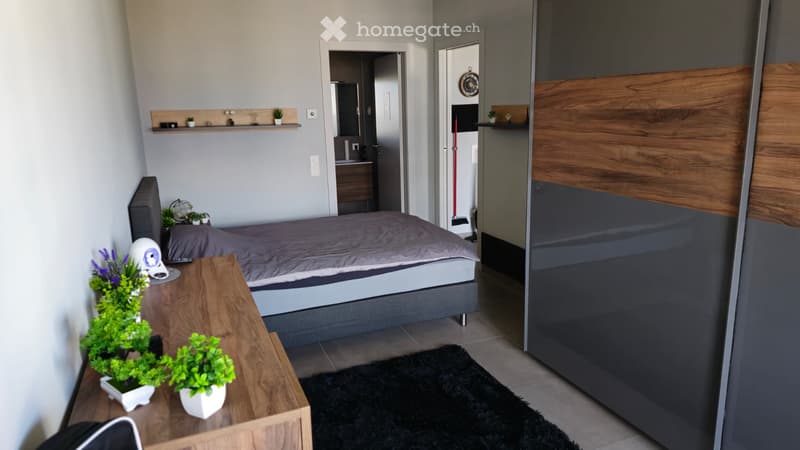Subentrante - 2,5 Locali (Ascona) (5)