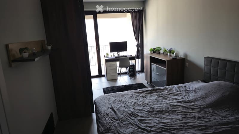 Subentrante - 2,5 Locali (Ascona) (4)