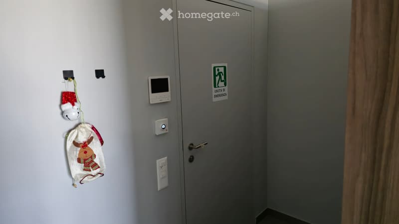 Subentrante - 2,5 Locali (Ascona) (6)