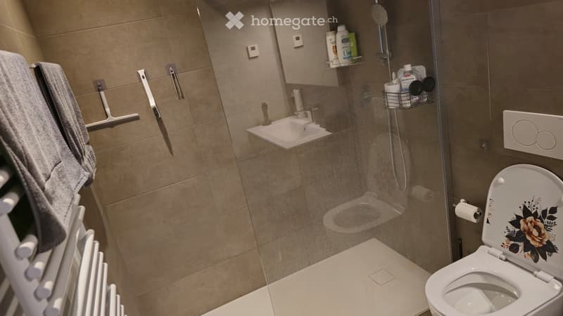 Subentrante - 2,5 Locali (Ascona) (10)