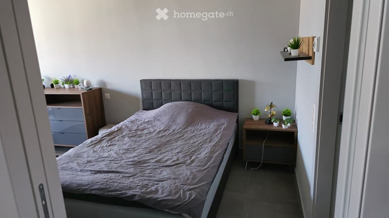 Subentrante - 2,5 Locali (Ascona) (8)