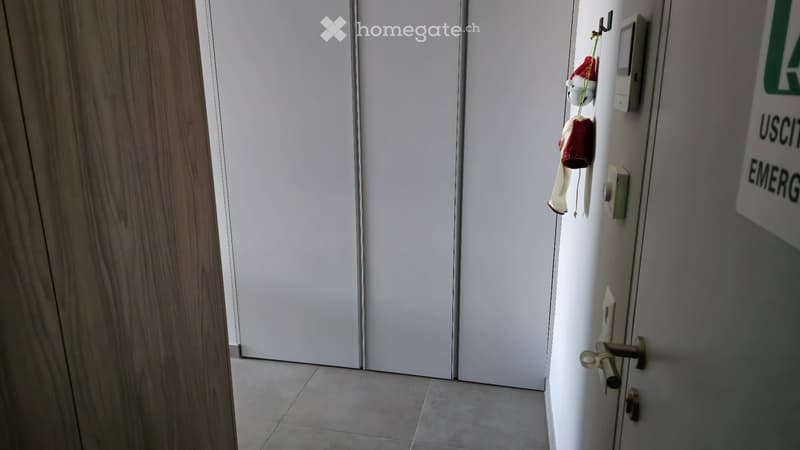 Subentrante - 2,5 Locali (Ascona) (7)