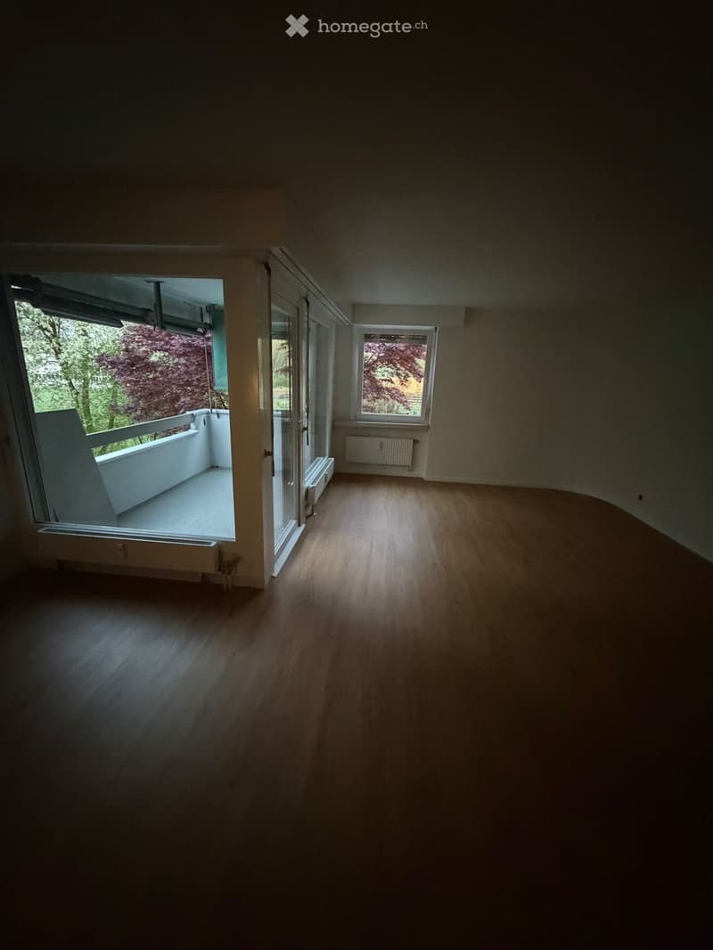 4.5 Zimmerwohnung (3)