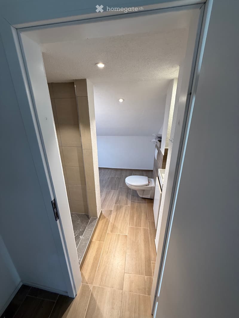 2.5-Zimmer-Dachwohnung in Rickenbach zu vermieten (4)