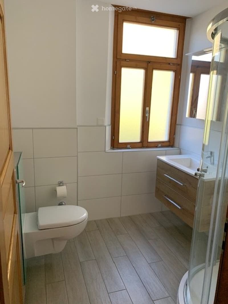 casa di 3 appartamenti a Bellinzona-Daro, posizione unica (9)