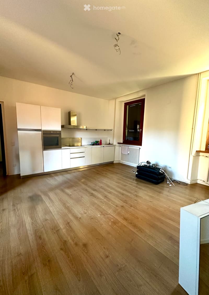 APPARTAMENTO 2.5 LOCALI A STABIO (2)