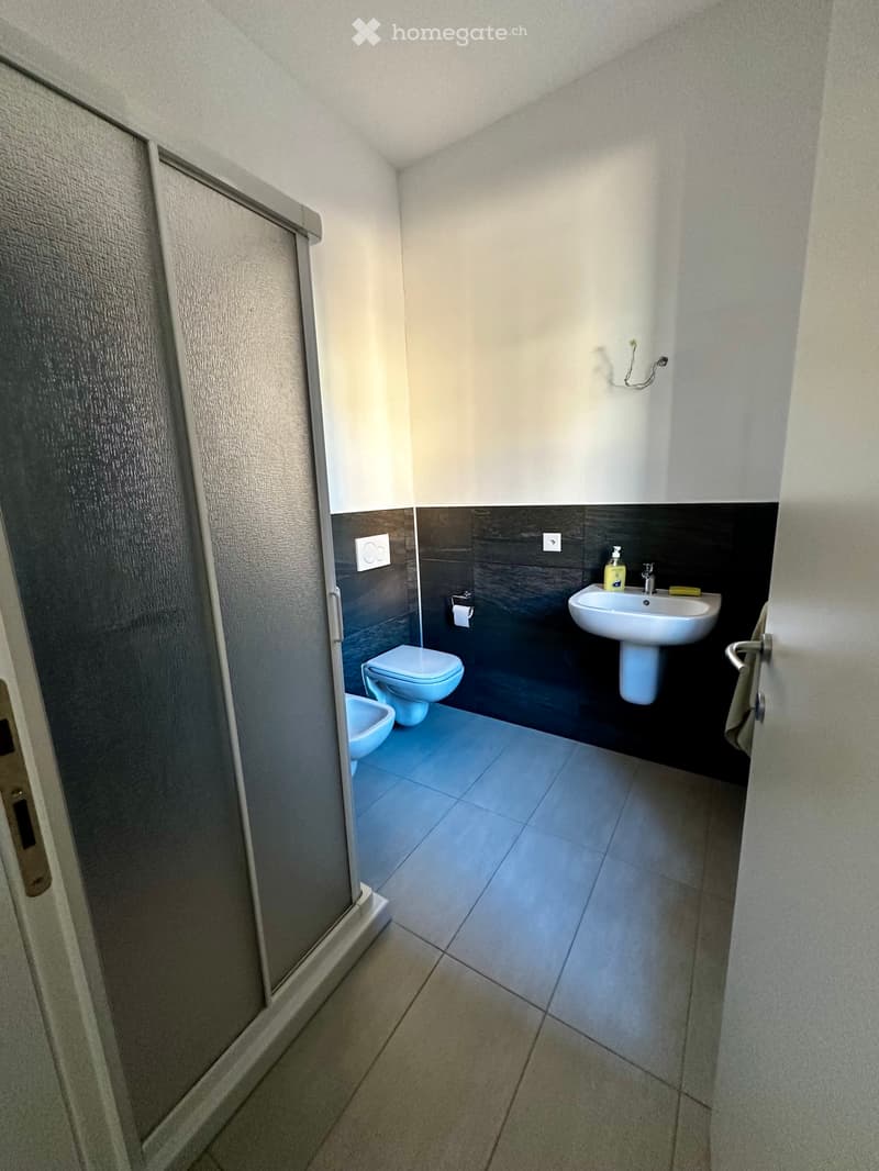 APPARTAMENTO 2.5 LOCALI A STABIO (3)