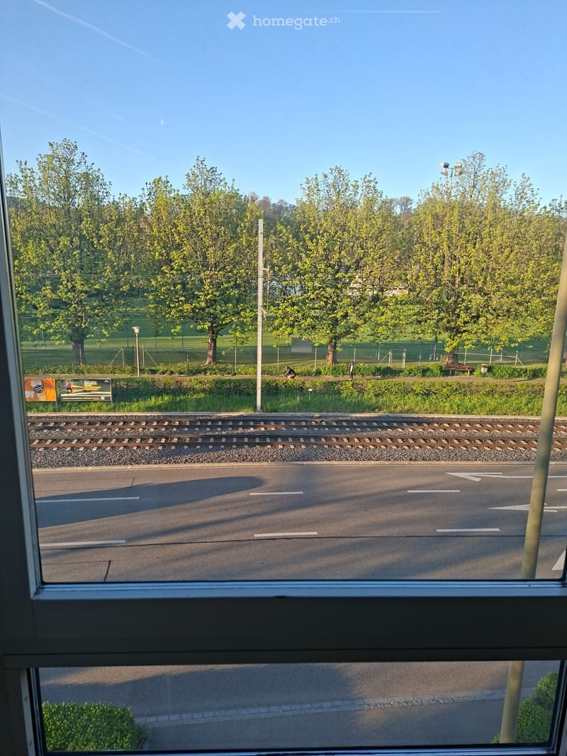 WG Zimmer günstig zu vermieten (3)