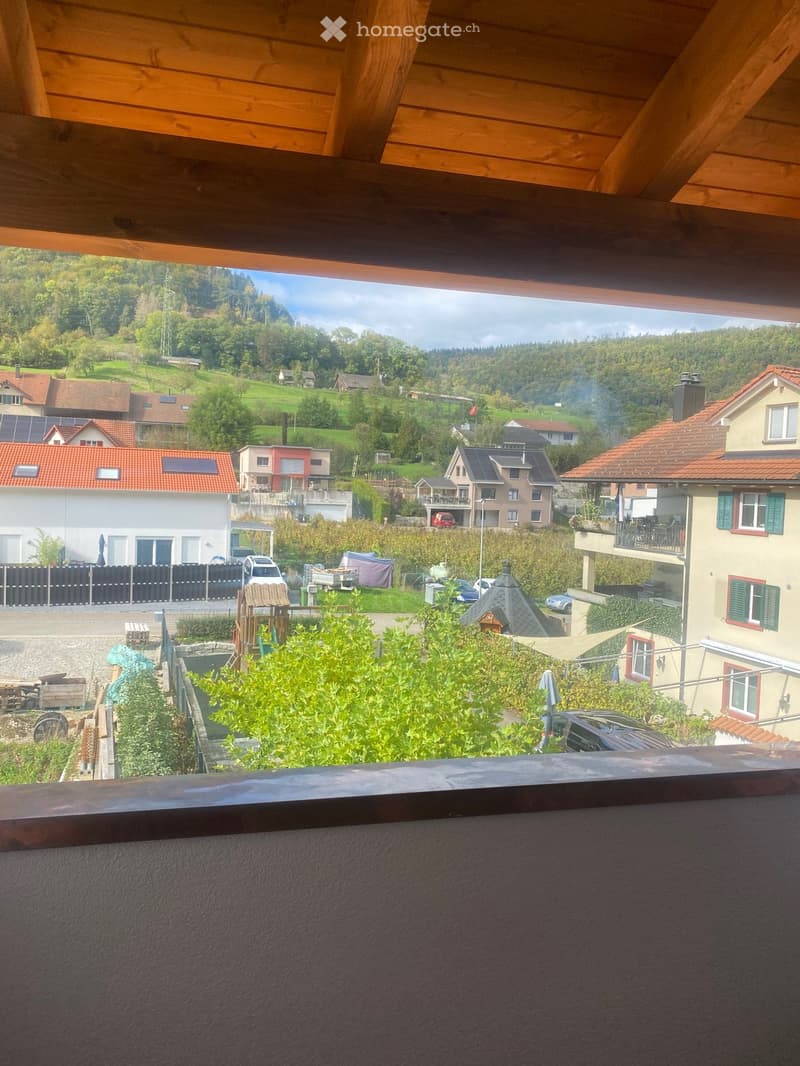 Modernes wohnen im alten Bauernhaus (3)
