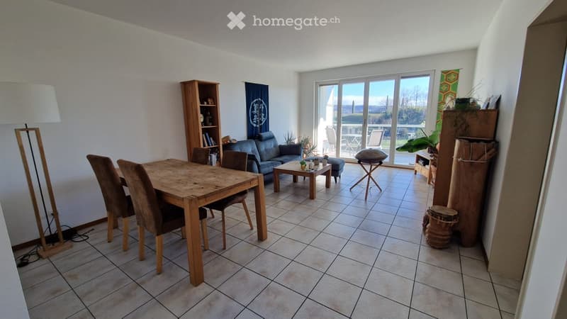 appartamento luminoso, 80 mq, 3 locali, garage, (3)