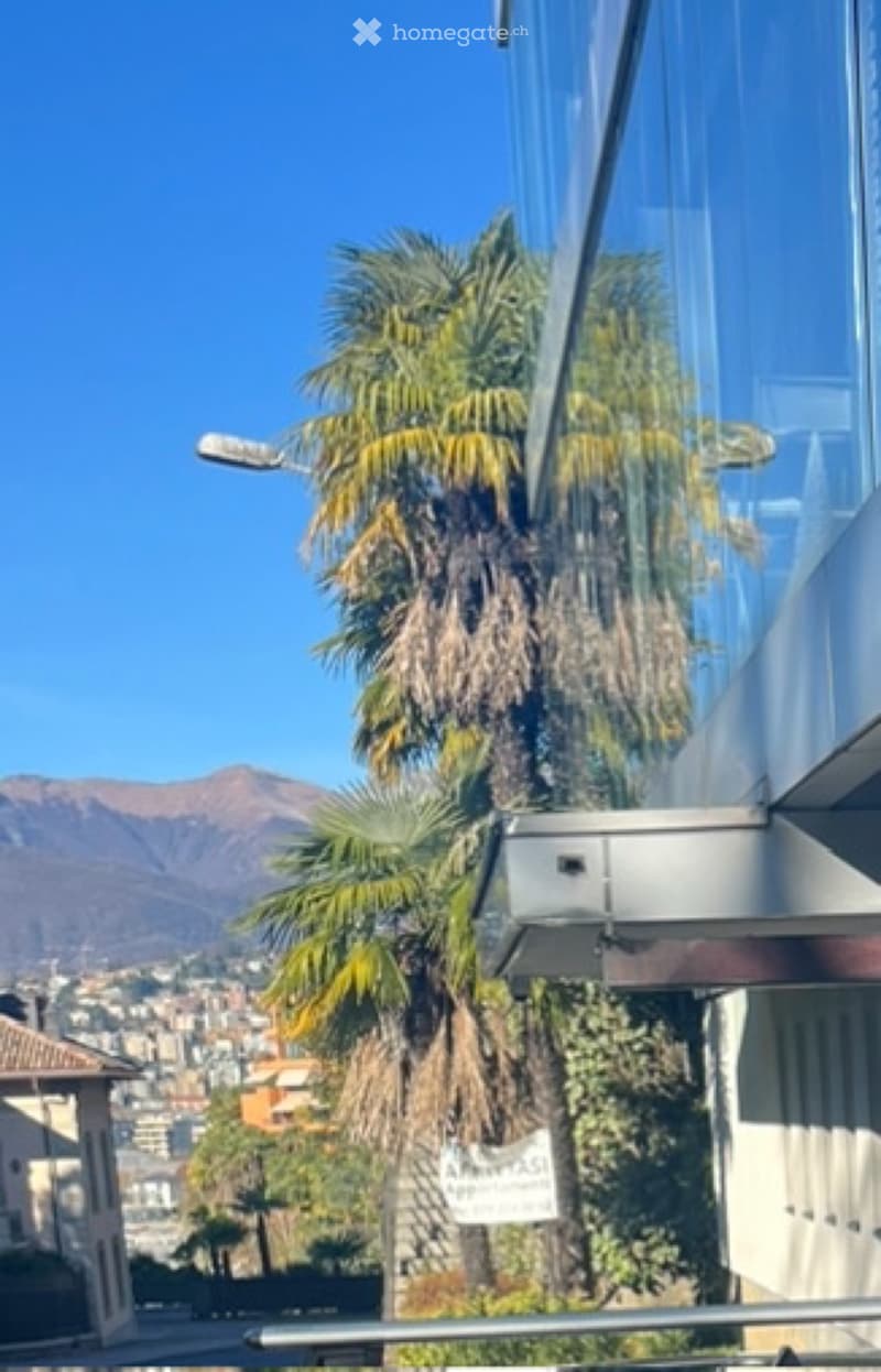 Ampio 3,5 fronte lago (1)