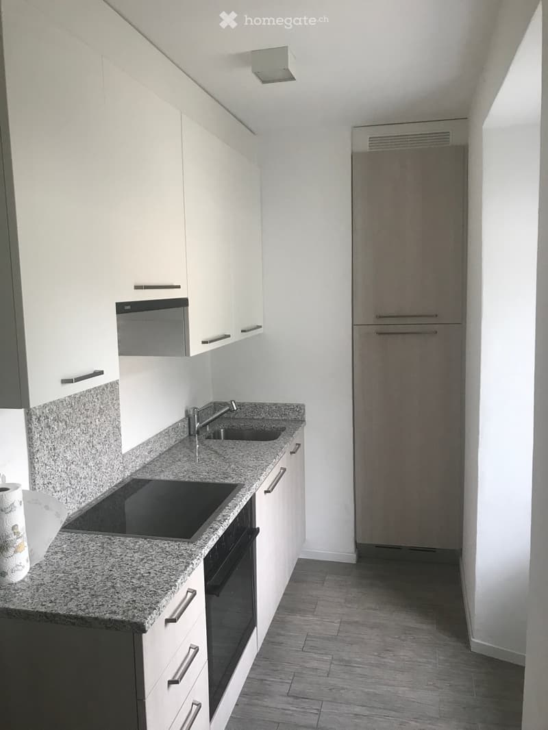 Studio /appartamento 1.5 da affittare da ottobre 2026 (1)