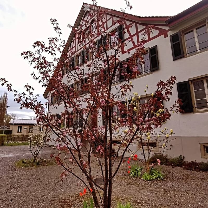 WG Zimmer in Robenhausen (5)
