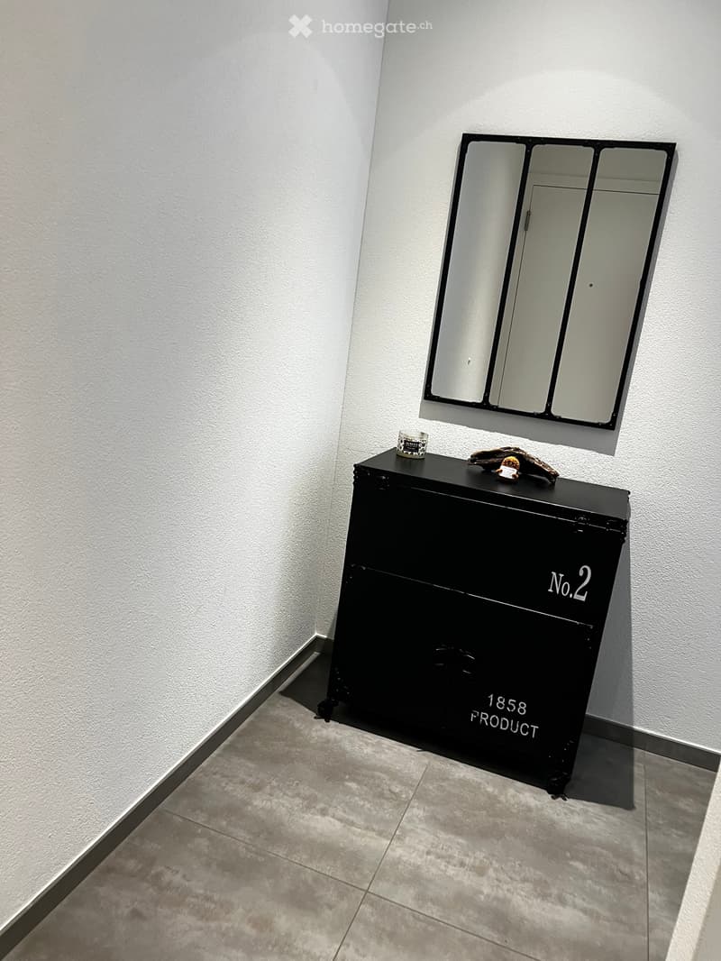 Cercasi subentrante  2½ locali a Bellinzona (3)