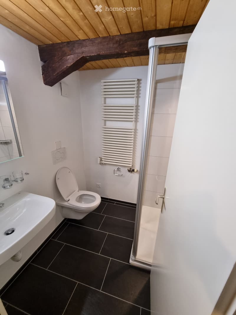 Maisonete Wohnung im Zentrum von Altstätten SG (5)