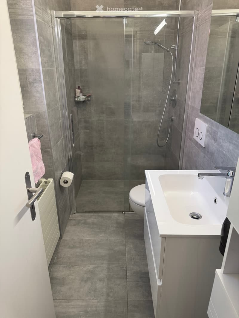 Affitto Casa Unifamiliare 4.5 Locali a Losone (4)