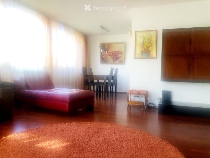 Beautiful Apartment by Zurich lake (5)