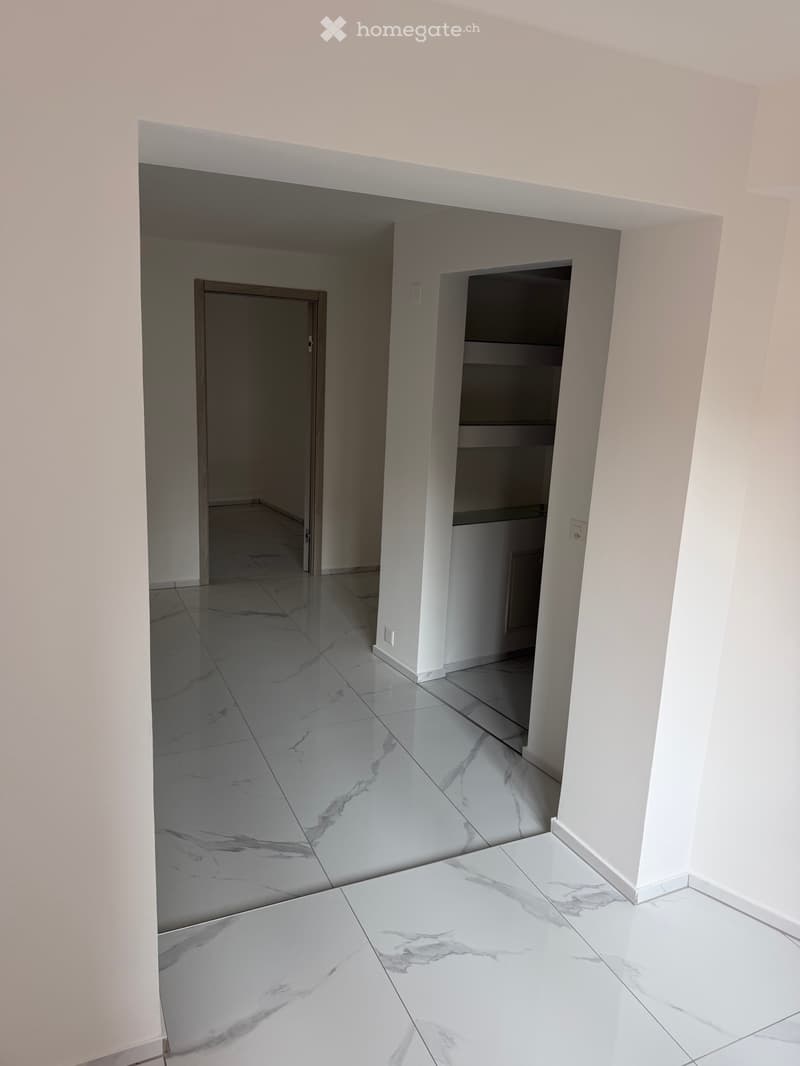 Affittasi 2.5 locali a Pregassona (2)