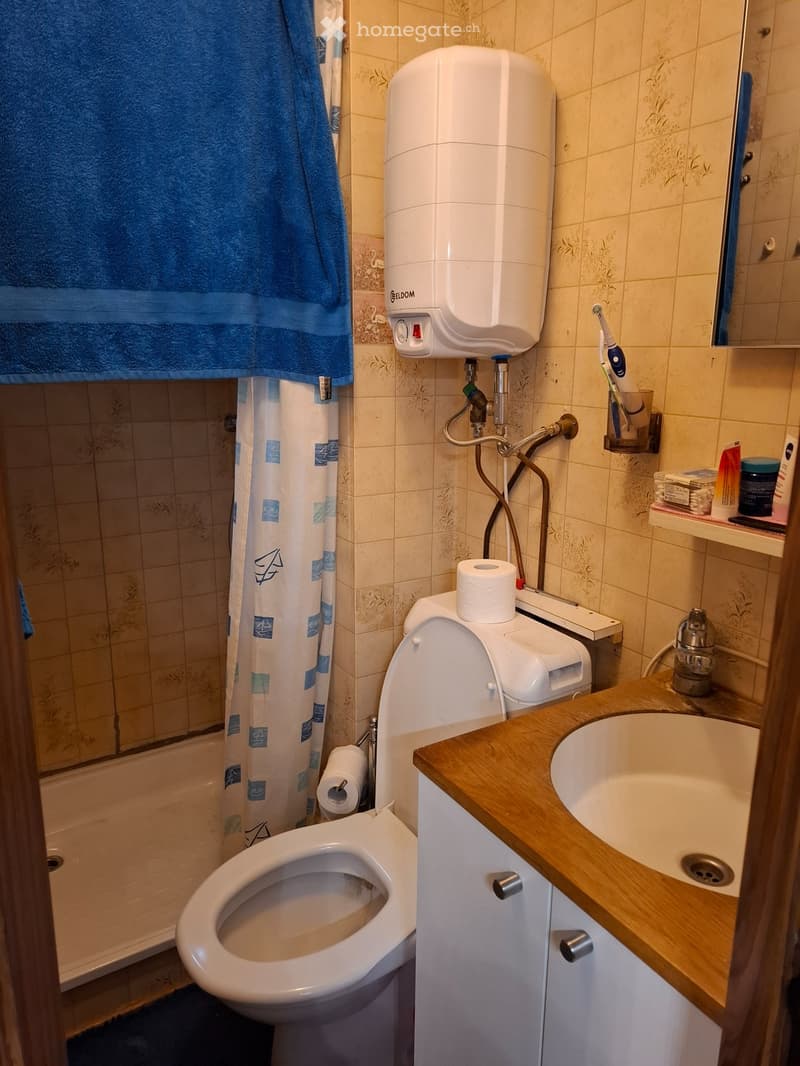 Zu verkaufen Mobilhome Camping Prêles (4)