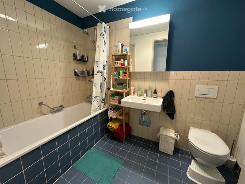 4.5-room furnished apartment in Stettbach (1)