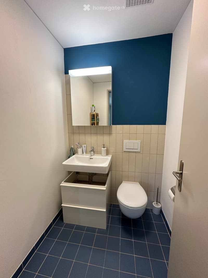 4.5-room furnished apartment in Stettbach (2)