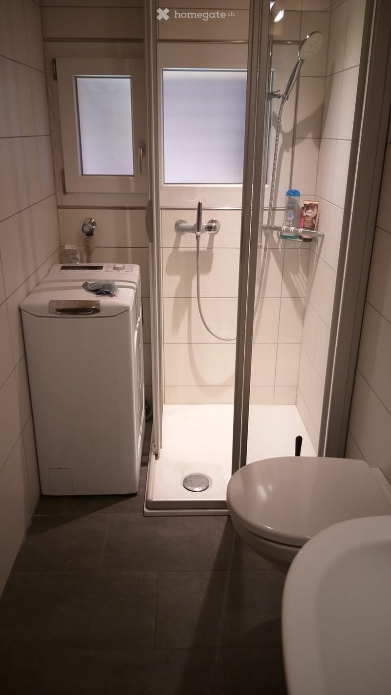 Freie 3.5 Zimmer Wohnung auf dem Bauernhof in Gohl (4)