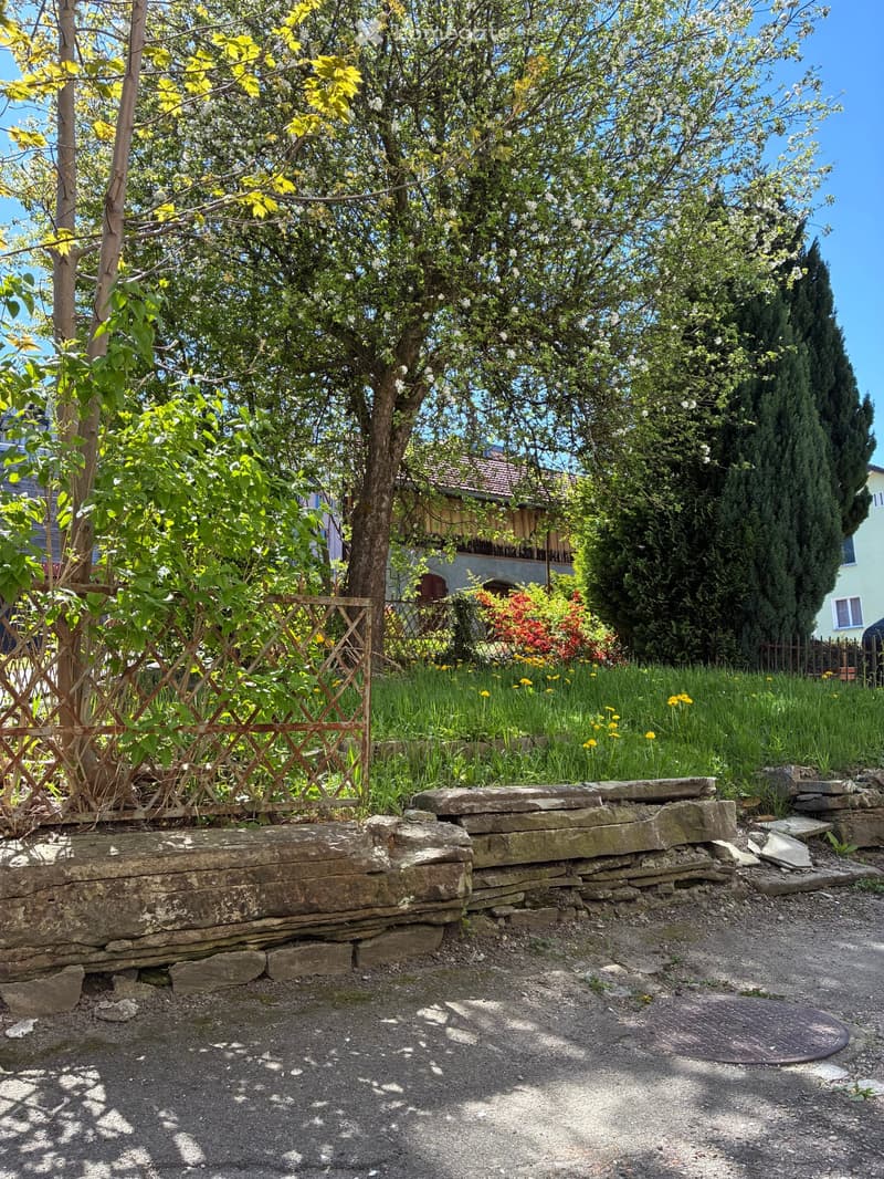 Im Zentrum von Herisau Altbaucharme mit Garten, 5-Zimmer (1)