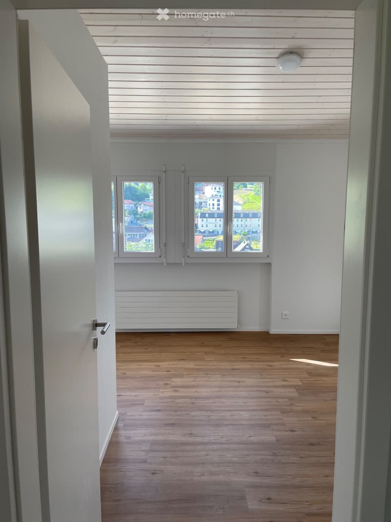 Helles, frisch renoviertes 4.5-Zimmer-Reihen-Eckhaus (4)