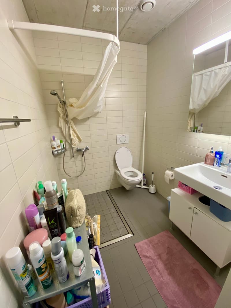 New roommate in Bern / Mitbewohner*in gesucht in Bern (3)