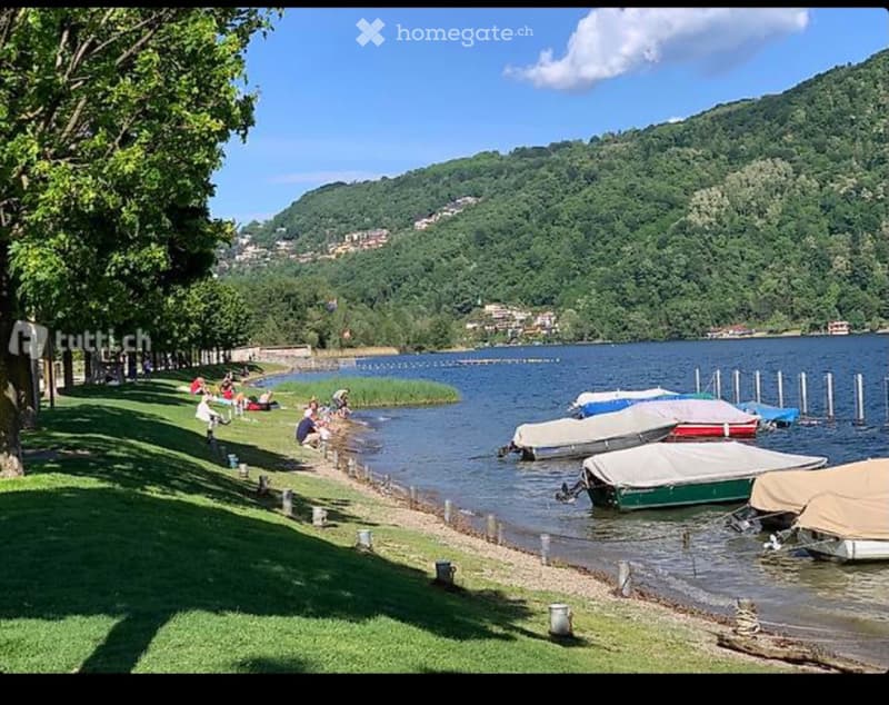 Bellissimo 3.5 con vista lago di caslano (2)