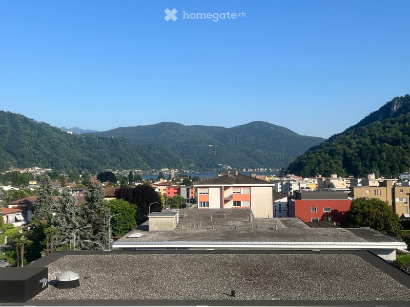 Bellissimo 3.5 con vista lago di caslano (4)