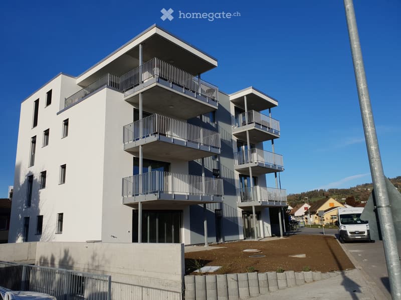 4.5 Zimmer Gartenwohnung zu vermieten (2)