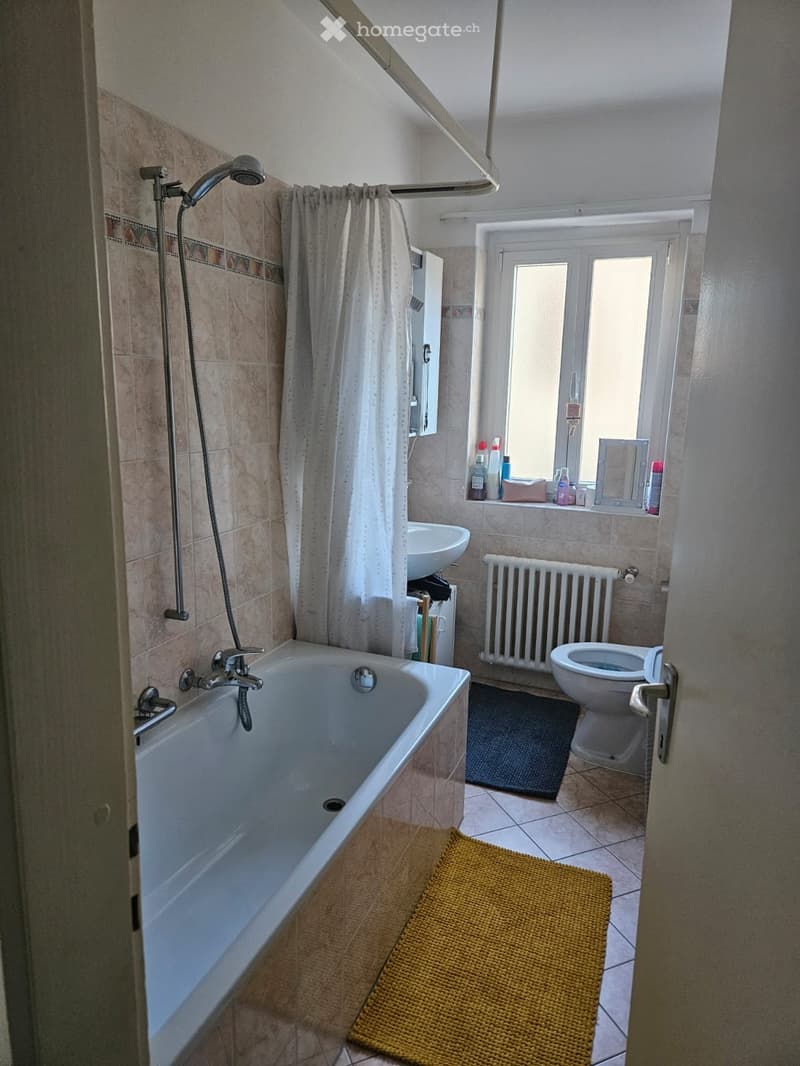Appartamento 2.5 (2)