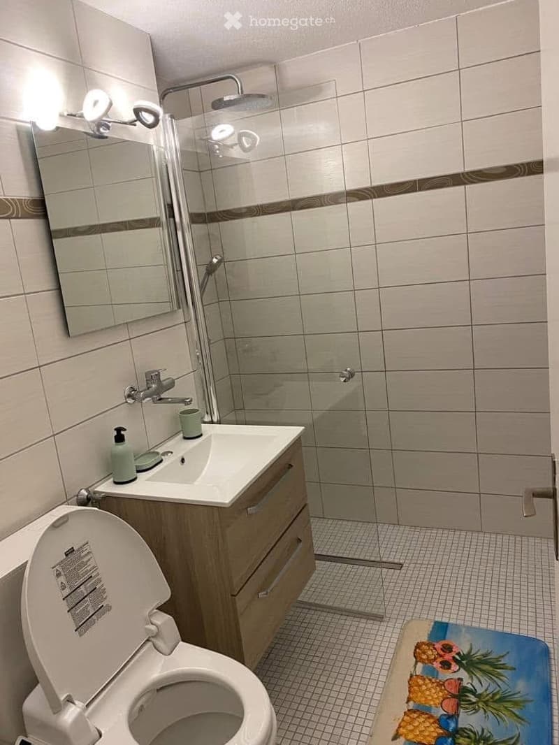 Dauermiete 1-Zimmerwohnung in Elm, Kanton Glarus (3)