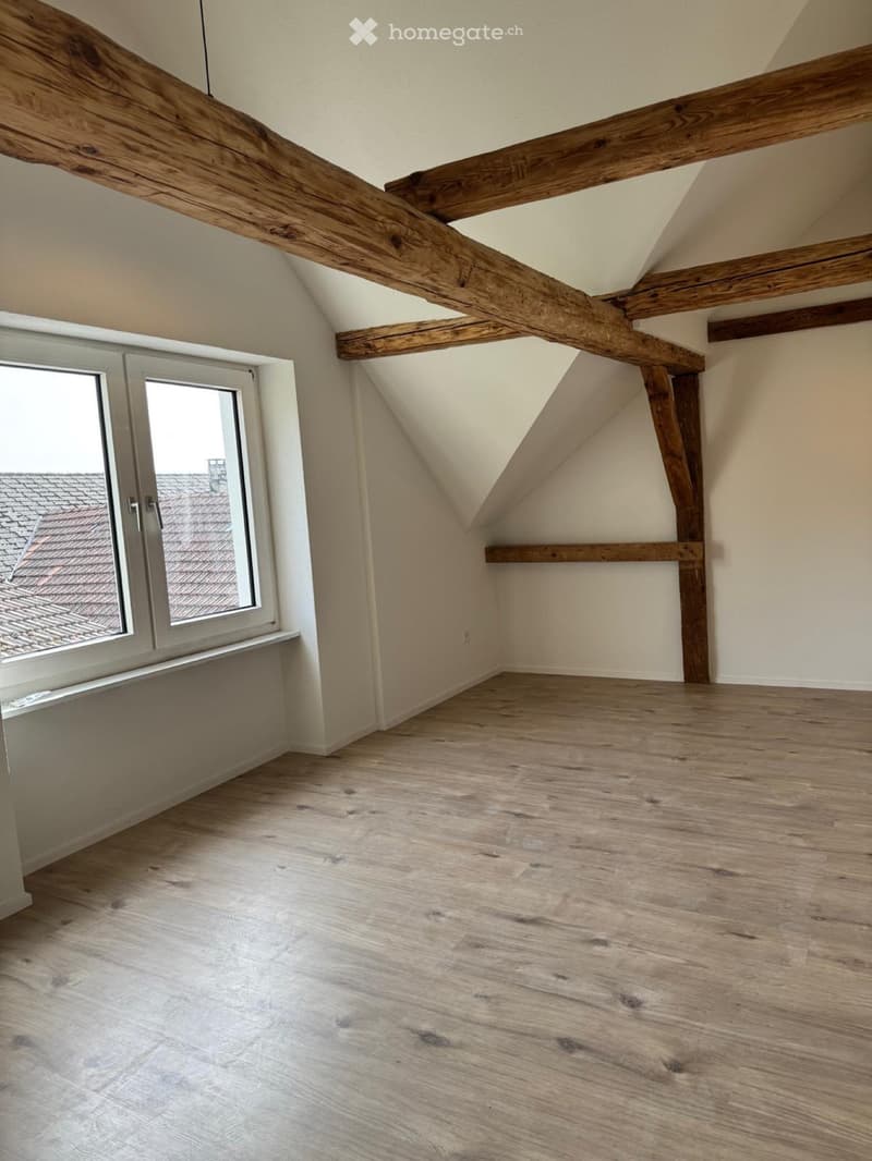 Freistehendes 4,5 Zimmer EFH (2)
