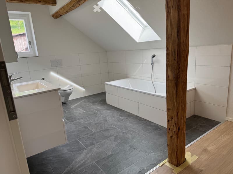 Freistehendes 4,5 Zimmer EFH (3)